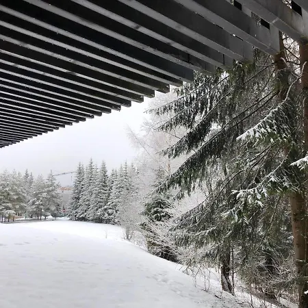 Hotel Alpin Forest Braşov